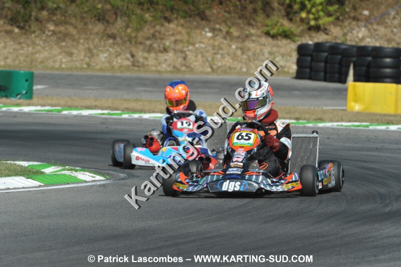 DSC_ (1118).JPG
